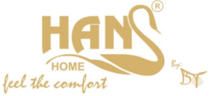 Hans Home